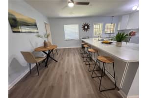 2510 LAKE ELLEN DRIVE, TAMPA, FL 33618 - MLS#MFRTB8400954