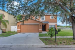 10523 Boyette Creek Blvd, RIVERVIEW