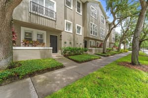 507 S Willow Ave, TAMPA