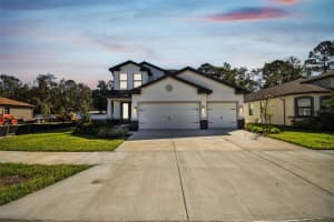 11311 STRIPED BASS COURT, NEW PORT RICHEY, FL 34654 - MLS#MFRTB8401065
