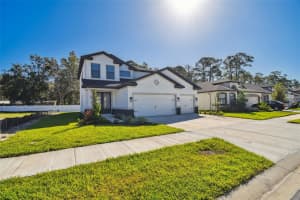 11311 STRIPED BASS COURT, NEW PORT RICHEY, FL 34654 - MLS#MFRTB8401065