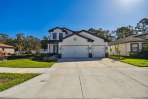 11311 STRIPED BASS COURT, NEW PORT RICHEY, FL 34654 - MLS#MFRTB8401065