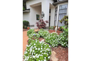 910 KINGSCOTE COURT, SAFETY HARBOR, FL 34695 - MLS#MFRTB8401074