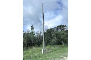SCAUP DUCK AVE, WEEKI WACHEE, FL 34614 - MLS#MFRTB8401124