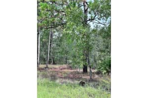 SCAUP DUCK AVE, WEEKI WACHEE, FL 34614 - MLS#MFRTB8401124