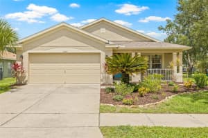 11830 Autumn Creek Dr, RIVERVIEW