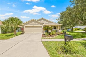 11830 AUTUMN CREEK DRIVE, RIVERVIEW, FL 33569 - MLS#MFRTB8401135