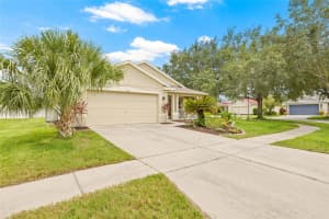 11830 AUTUMN CREEK DRIVE, RIVERVIEW, FL 33569 - MLS#MFRTB8401135