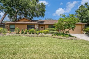 6709 PEACHTREE DRIVE, TEMPLE TERRACE, FL 33617 - MLS#MFRTB8401170