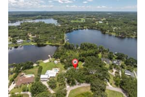 11008 NEST COURT, ODESSA, FL 33556 - MLS#MFRTB8401179