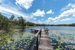 11008 NEST COURT, ODESSA, FL 33556 - MLS#MFRTB8401179