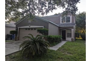 18126 Birdwater Dr, TAMPA