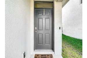 34033 JASPER STONE DRIVE, WESLEY CHAPEL, FL 33543 - MLS#MFRTB8401185
