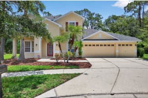 16102 Colchester Palms Dr, TAMPA