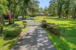 10584 DAWNFLOWER POINT, CRYSTAL RIVER, FL 34428 - MLS#MFRTB8401200