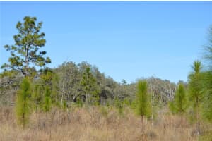 00 UNNAMED, SPRING HILL, FL 34610 - MLS#MFRTB8401223