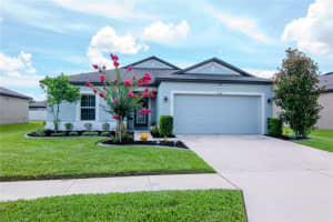 12138 Criollo Rd, SPRING HILL