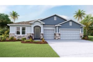 2637 Warren Acres Blvd, WESLEY CHAPEL