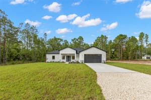 13332 SCHICK AVENUE, BROOKSVILLE, FL 34614 - MLS#MFRTB8401303