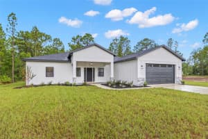 13332 SCHICK AVENUE, BROOKSVILLE, FL 34614 - MLS#MFRTB8401303