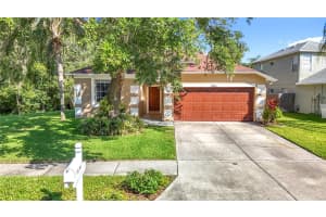 10323 BIRDWATCH DRIVE, TAMPA, FL 33647 Sold 08/20/25