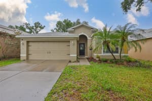 1129 EMERALD HILL WAY, VALRICO, FL 33594 - MLS#MFRTB8401345