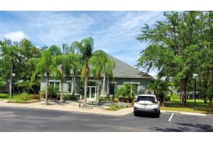 3493 KINGS ROAD, PALM HARBOR, FL 34685 - MLS#MFRTB8401371