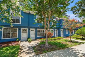 3323 FOX HUNT DRIVE, PALM HARBOR, FL 34683 - MLS#MFRTB8401376
