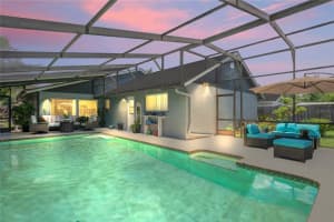 3113 CHAMBLEE LANE, CLEARWATER, FL 33759 - MLS#MFRTB8401380