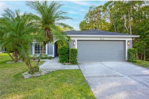 13203 ROYAL GEORGE AVENUE, ODESSA, FL 33556 Sold 08/01/25