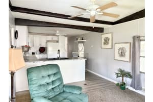 34543 SWEETPEA LN, ZEPHYRHILLS, FL 33541 - MLS#MFRTB8401395