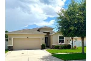 10621 Scenic Hollow Dr, RIVERVIEW