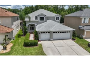 25435 Bruford Blvd, LAND O LAKES