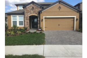 11613 Sweet Tangerine Ln, TAMPA