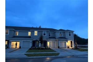 34142 POLACCA LANE, WESLEY CHAPEL, FL 33543 - MLS#MFRTB8401421