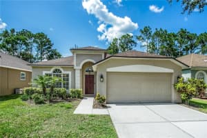 11837 Derbyshire Dr, TAMPA
