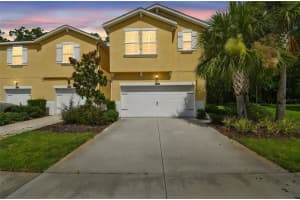 17880 Althea Blue Pl, LUTZ