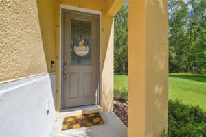17880 ALTHEA BLUE PLACE, LUTZ, FL 33558 - MLS#MFRTB8401484