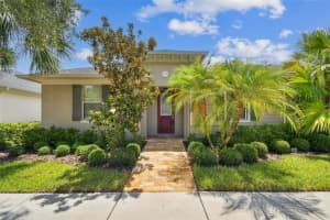 11317 WICKERSLEY PLACE, TAMPA, FL 33625 - MLS#MFRTB8401507