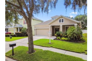 13310 TIGER LILLY LANE, TAMPA, FL 33625 Sold 08/15/25