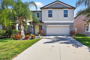 13324 Willow Bluestar Loop, RIVERVIEW