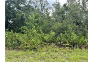 10232 FIELD STREET, NEW PORT RICHEY, FL 34654 Sold 10/20/25