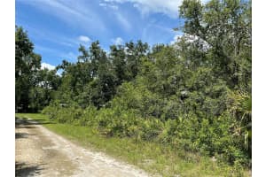 10232 FIELD STREET, NEW PORT RICHEY, FL 34654 Sold 10/20/25