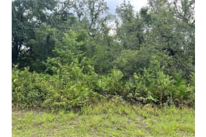 10232 FIELD STREET, NEW PORT RICHEY, FL 34654 Sold 10/20/25