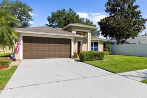 4511 PRESTON WOODS DRIVE, VALRICO, FL 33596 - MLS#MFRTB8401642
