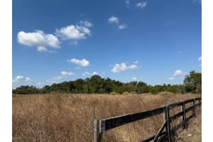 12828 FORT KING HIGHWAY, THONOTOSASSA, FL 33592 - MLS#MFRTB8401649