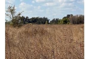 12828 FORT KING HIGHWAY, THONOTOSASSA, FL 33592 - MLS#MFRTB8401649