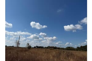 12828 FORT KING HIGHWAY, THONOTOSASSA, FL 33592 - MLS#MFRTB8401649