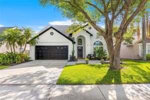 14509 Thornfield Ct, TAMPA
