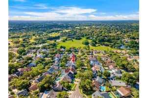 14509 THORNFIELD COURT, TAMPA, FL 33624 - MLS#MFRTB8401666